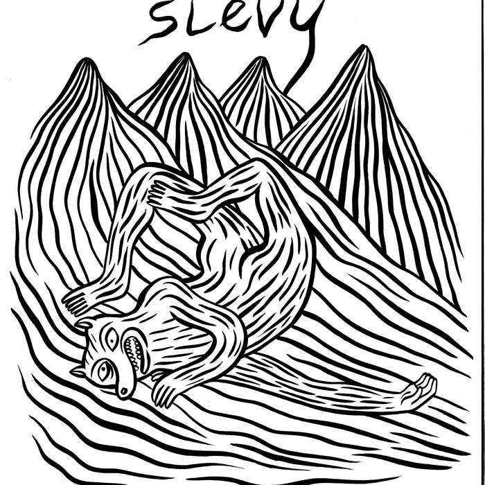 Slevy - Vol. 1