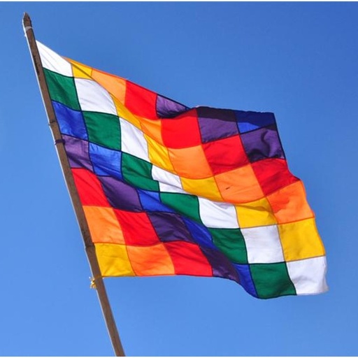 [DD-TX3012] Bandera Whipala Grande