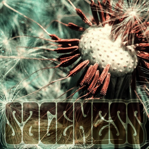 [DD-LP3532] sageness (LP)