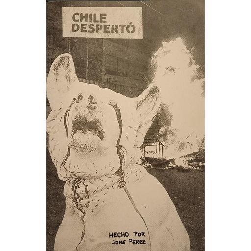[DD-LX3334] CHILE DESPERTÓ