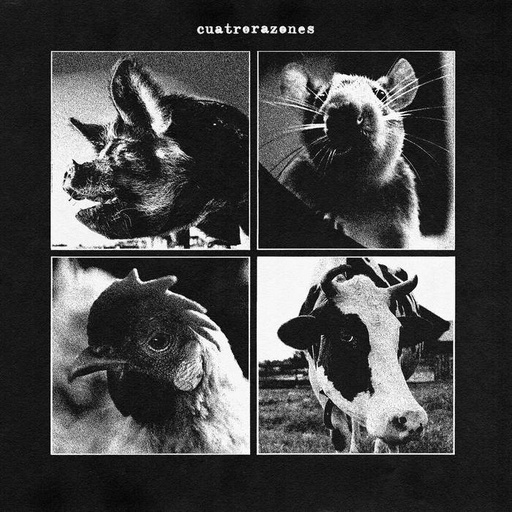 [DD-LP4091] CUATRORAZONES