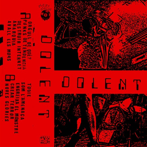 [DD-K73153] DOLENT - Ídem
