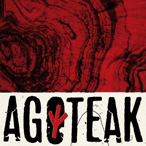 [DD-LP4242] AGOTEAK - Idem